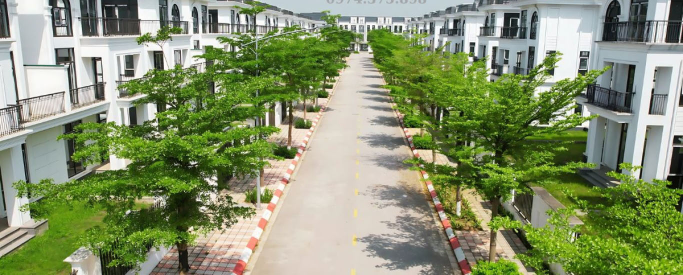 tiến độ hud mê linh central